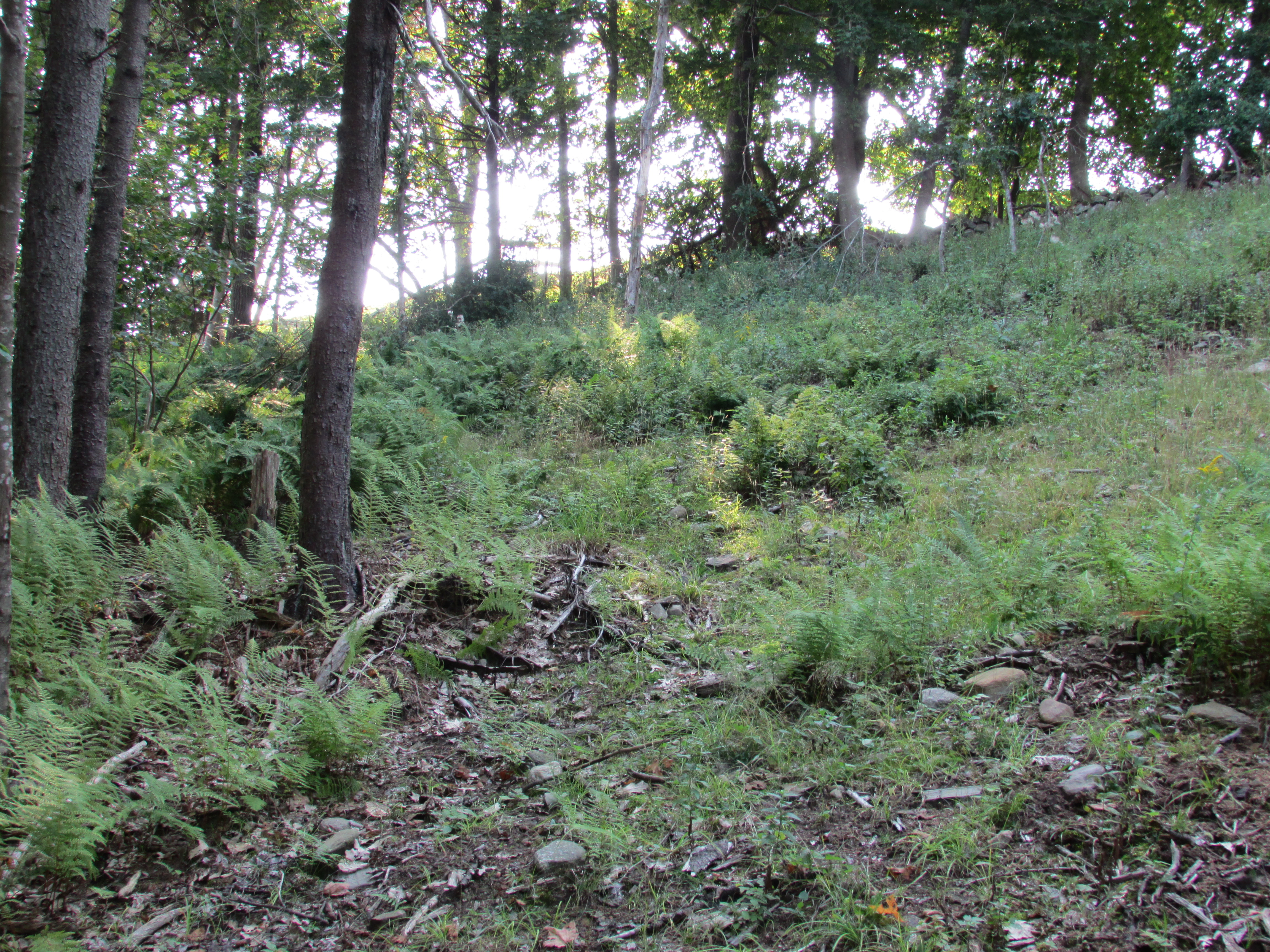Whiteside Parcel - Future Non-burial Open Space