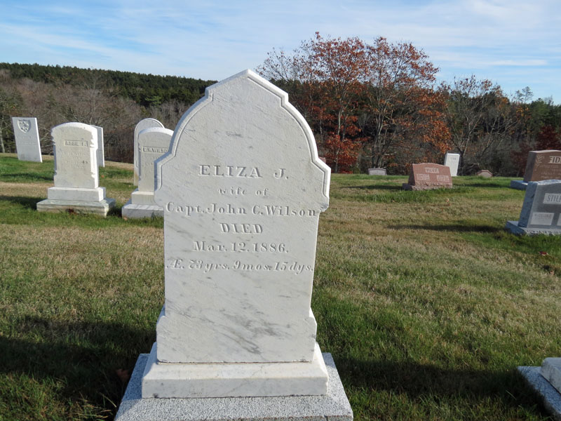 Eliza J. Wilson monument